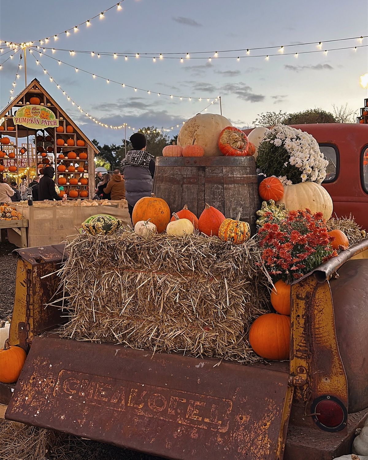 Pumpkin Pickin' - Soy Wax Candle