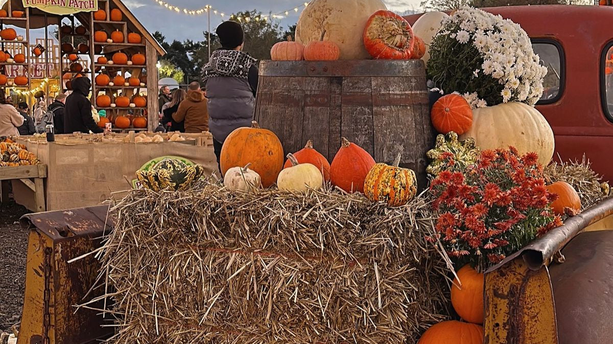 Pumpkin Pickin' - Soy Wax Candle