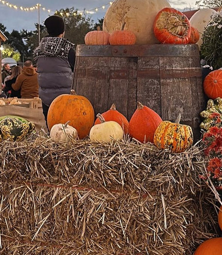 Pumpkin Pickin' - Soy Wax Candle