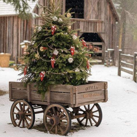 Christmas Tree