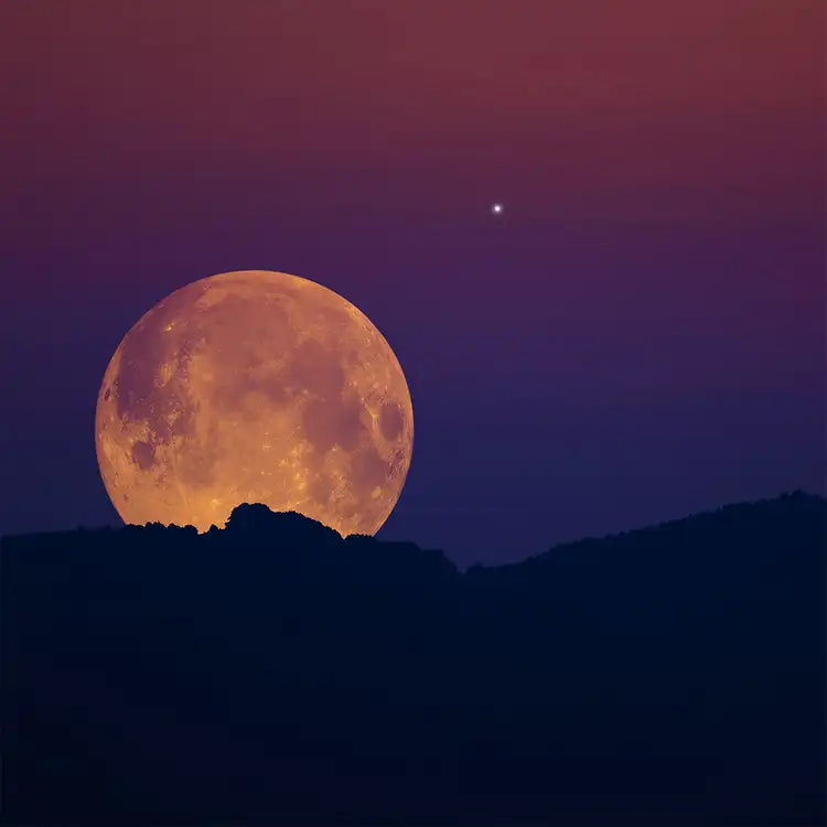Harvest Moon - Soy Wax Candle