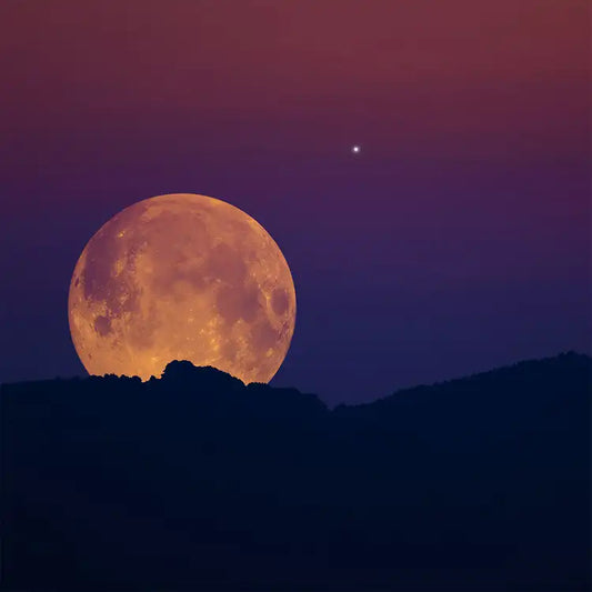Harvest Moon - Soy Wax Candle