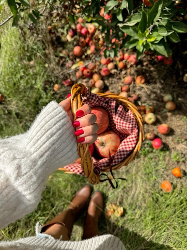 Apple Pickin' - Soy Wax Candle