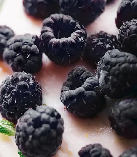Black Raspberry Vanilla