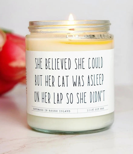 Funny Cat Lover Gift