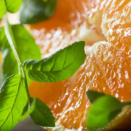 Citrus Basil